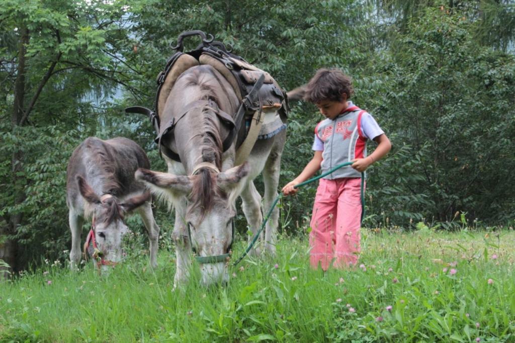 Rifugio Escursionistico Le Lunelle Villa Mezzenile Kültér fotó