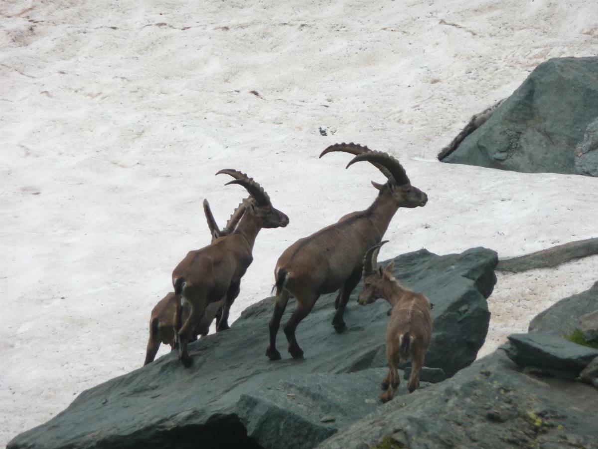 Rifugio Escursionistico Le Lunelle Villa Mezzenile Kültér fotó